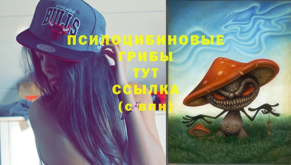 прущая мука Арсеньев