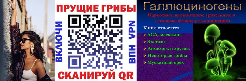 Псилоцибиновые грибы GOLDEN TEACHER что такое Электросталь